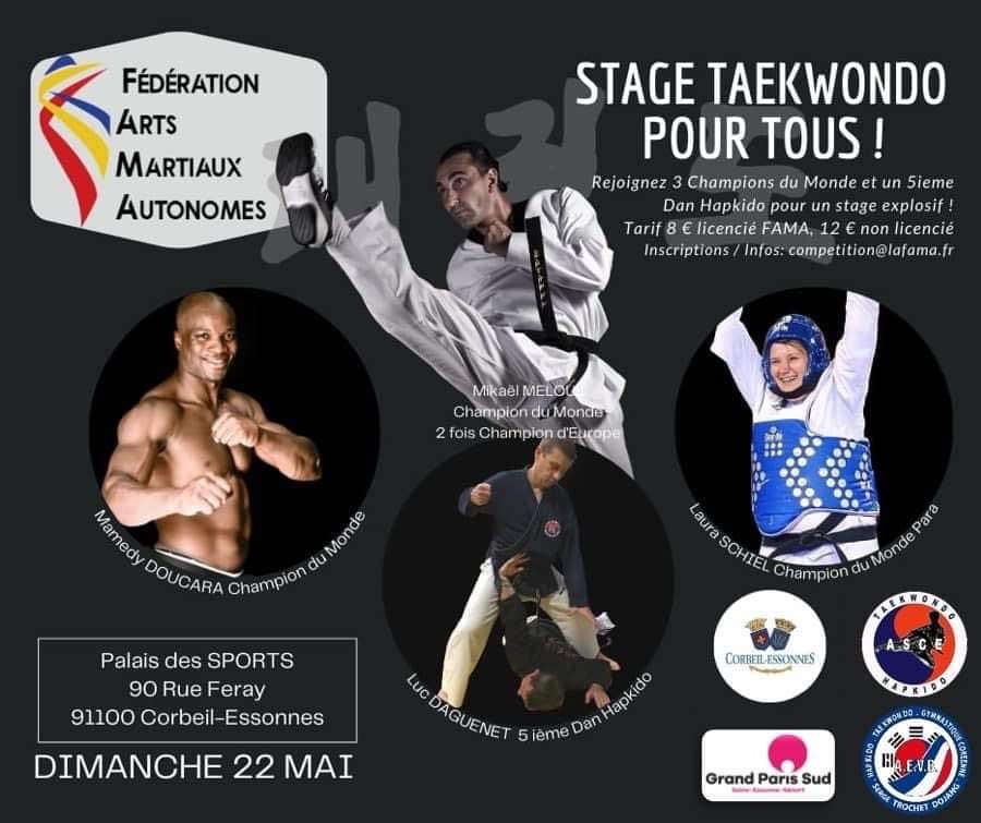 Stages FAMA Taekwondo - Hapkido