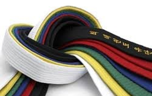 Passage de Grade - TKD/HKD